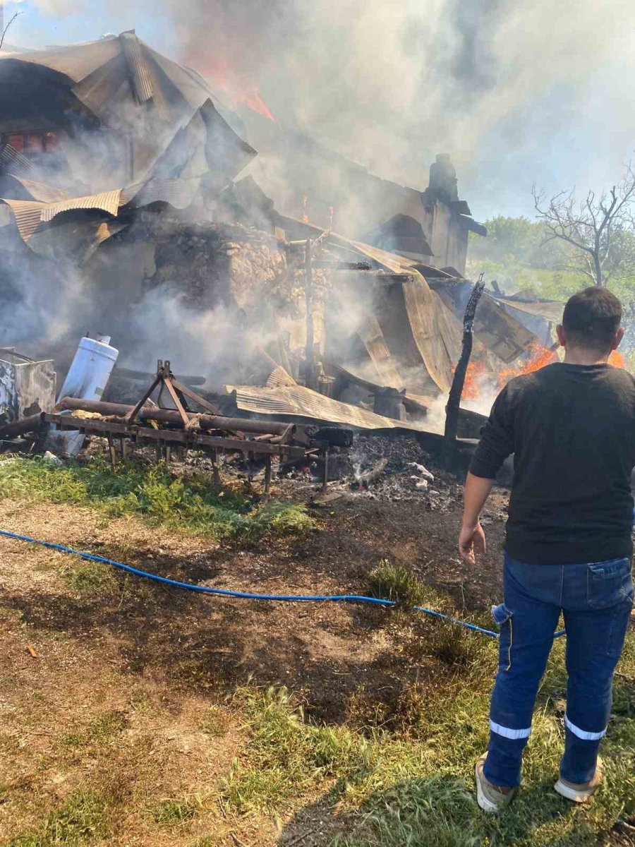 Antalya’da Yaşlı Çiftin Evi Yandı, İki Kurbanlığı Telef Oldu