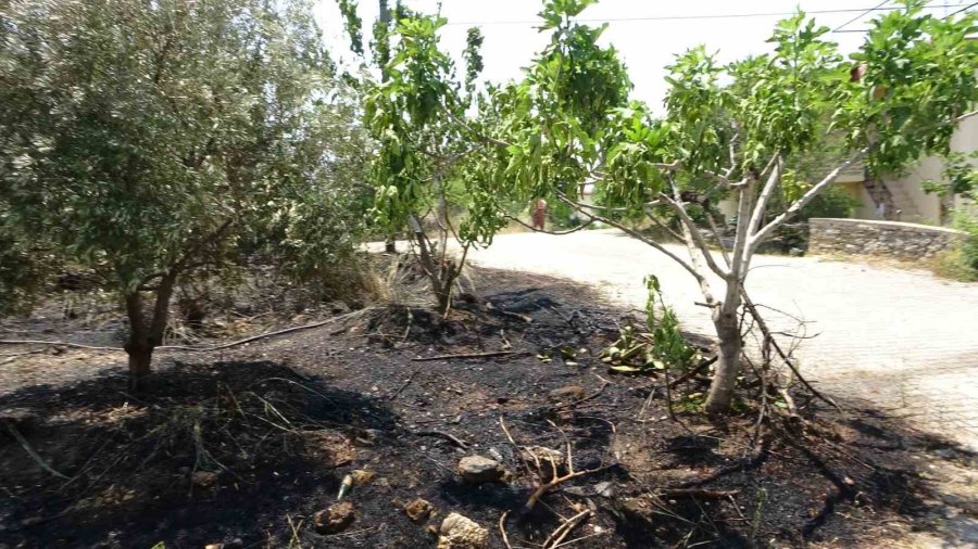 Manavgat’ta Araçtan Atılan Sigara Bahçede Yangın Çıkardı