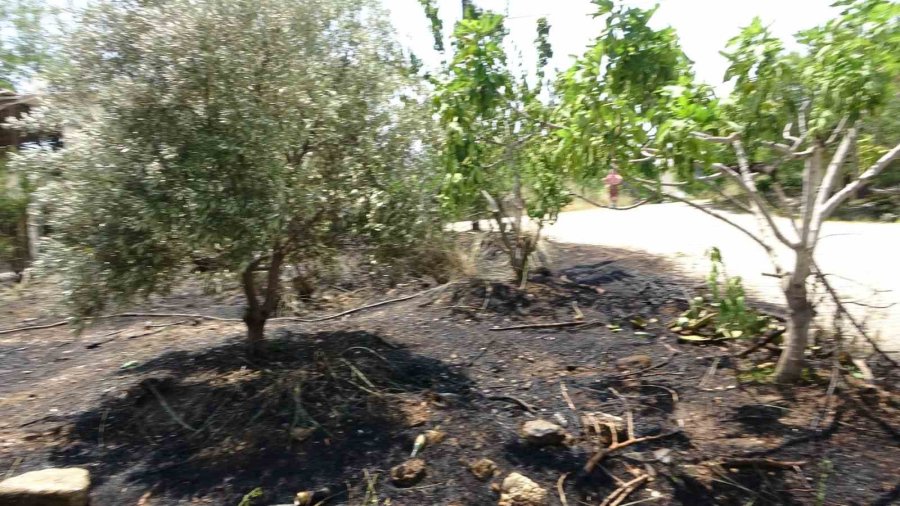 Manavgat’ta Araçtan Atılan Sigara Bahçede Yangın Çıkardı