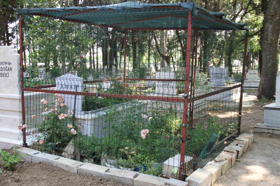 Bayram Arifesinde Mezarlığa Gelen Vatandaşlar Hayatlarının Şokunu Yaşadı