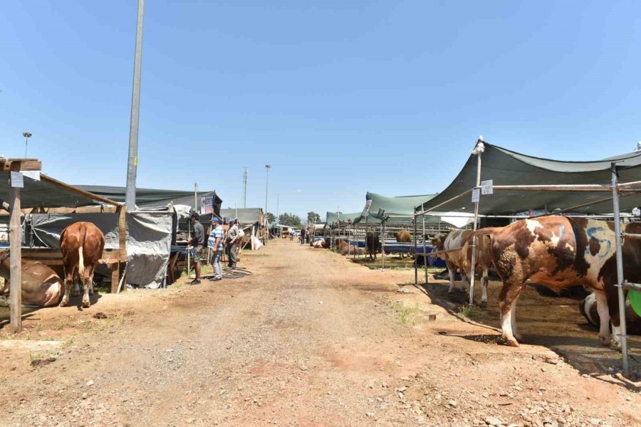 Kepez’de 9 Noktada Kurban Kesim Alanı