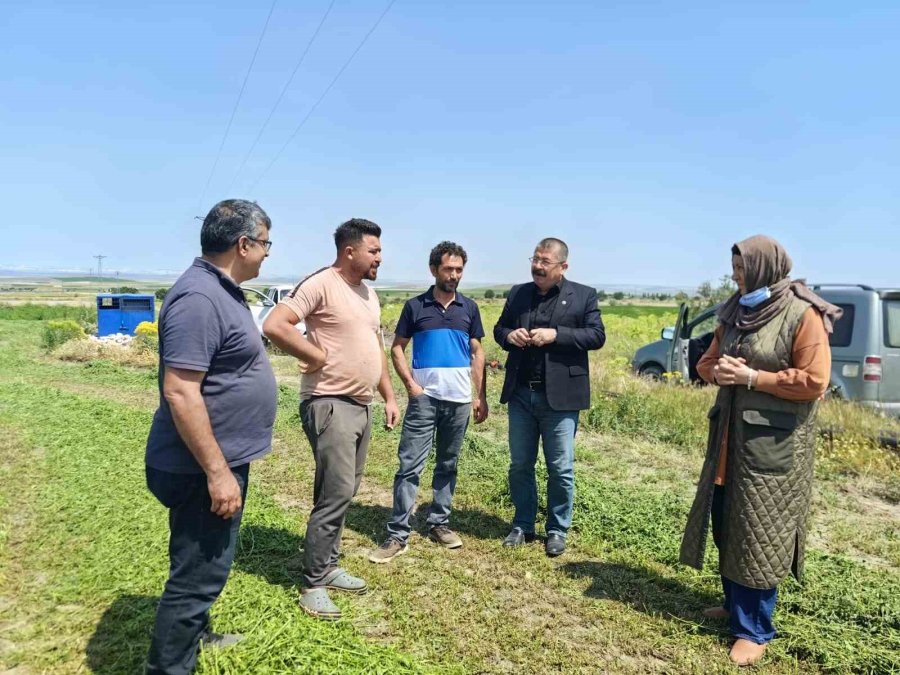 Karapınar’da Dolu Ve Sel Felaketinde Etkilenen Bölgelerde İncelemelerde Bulunuldu