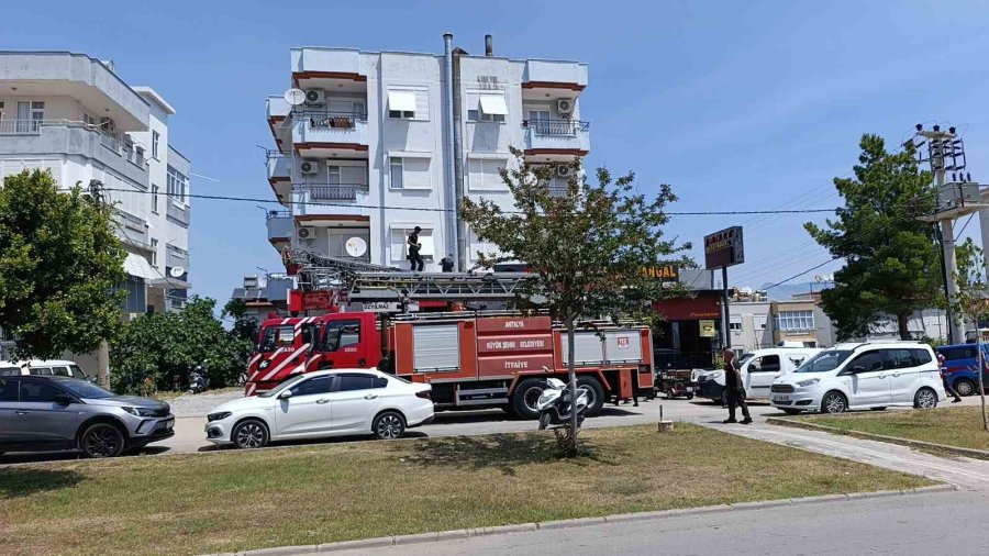 Baca Yangını İtfaiye Ve Jandarmayı Alarma Geçirdi