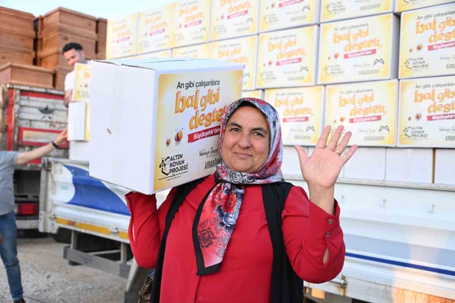 Mersin’de Arı Yetiştiricilerine Kovan Ve Ekipman Desteği