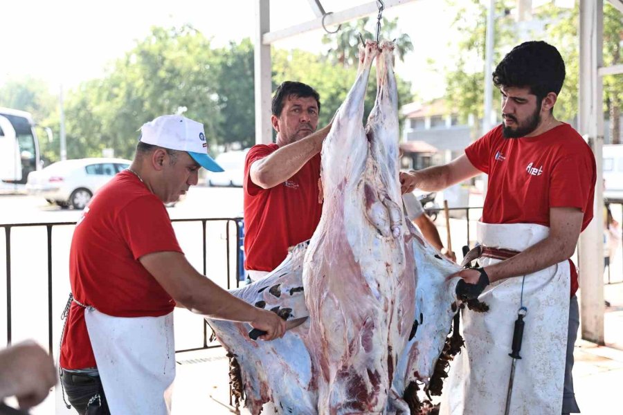 Antalya Büyükşehir Belediyesi’nden Hijyenik Ortamda Ücretsiz Kurban Kesim Hizmeti