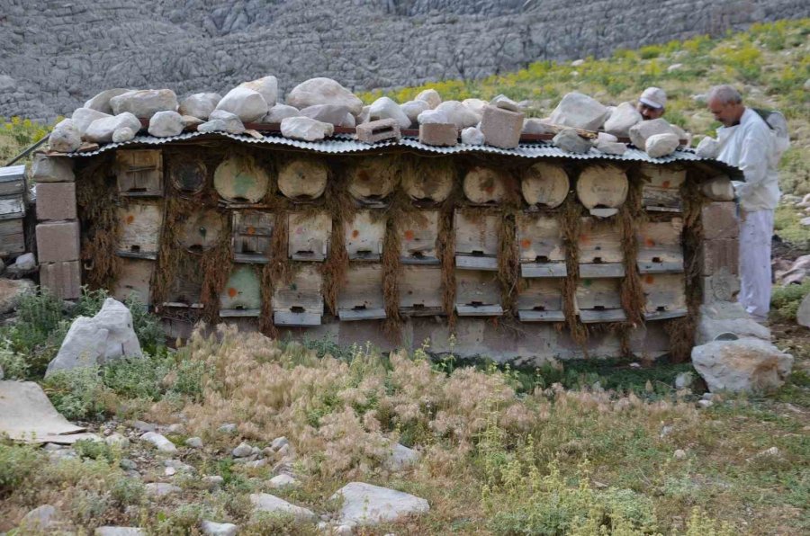 Antalya’da Arıcılar Kara Kovanlarını Yüksek Kesimlerdeki Yaylalara Çıkardı