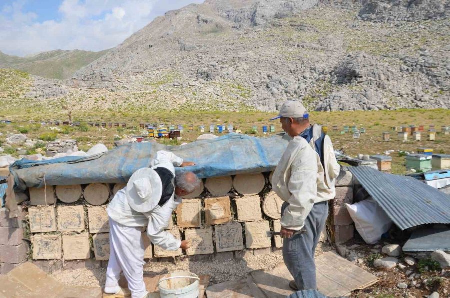 Antalya’da Arıcılar Kara Kovanlarını Yüksek Kesimlerdeki Yaylalara Çıkardı