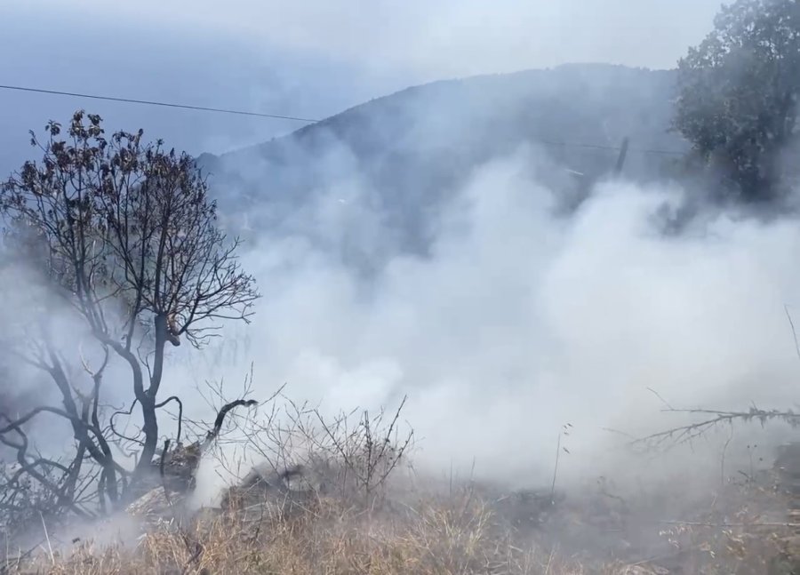 Bahçe Yangını Büyümeden Söndürüldü
