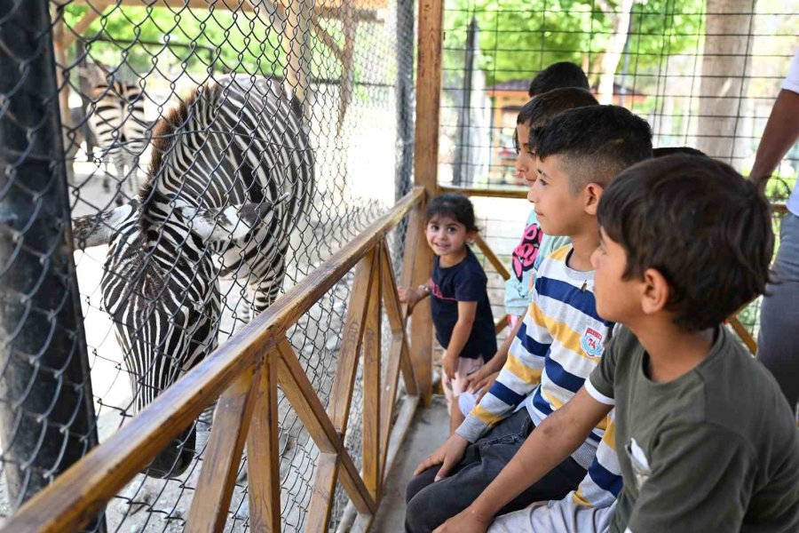 Tarsus Doğa Parkı, Bayramda Ziyaretçi Akınına Uğradı