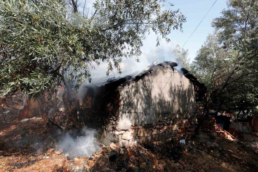 Antalya’da Mangal Keyfi Kabusa Dönüyordu