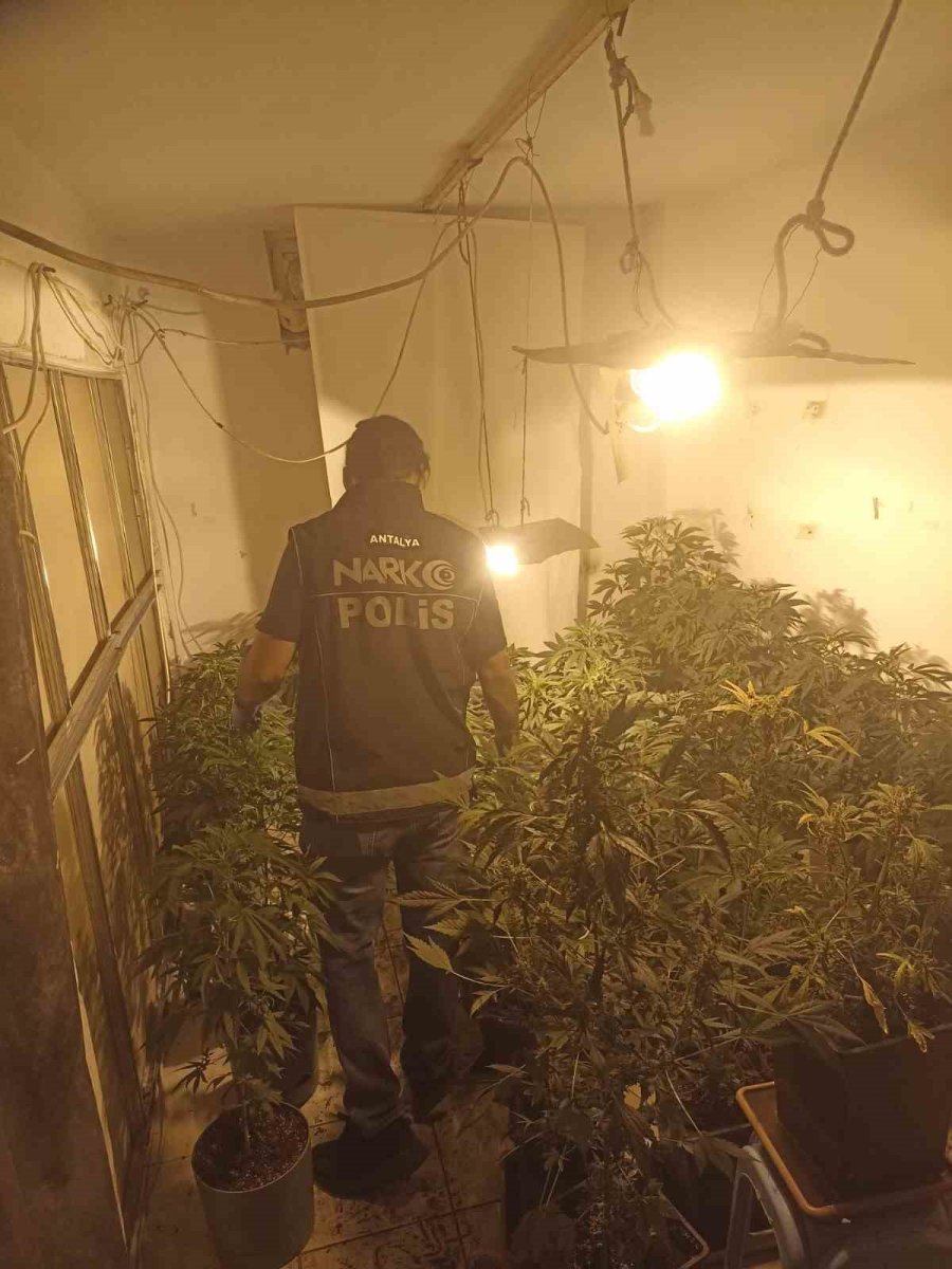 Antalya’da Uyuşturucu Operasyonu: 11 Tutuklama