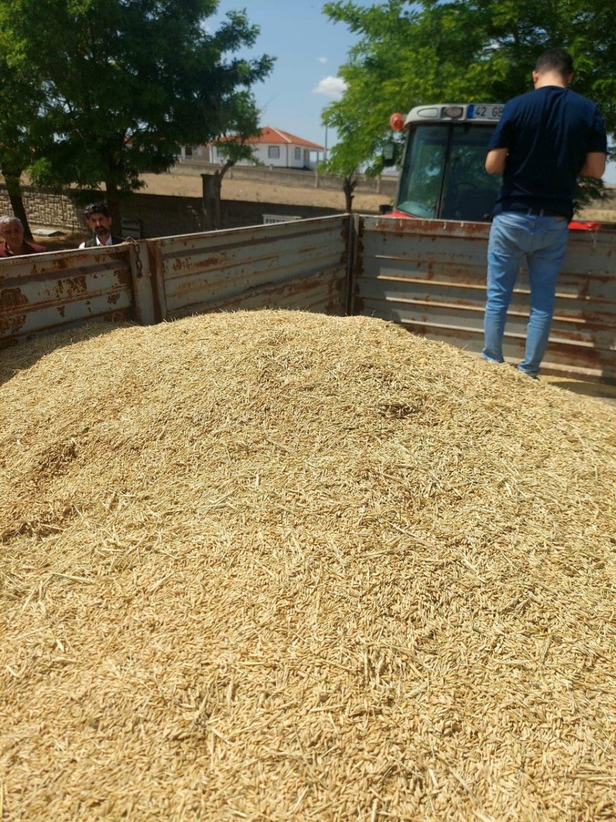 Kulu’da Hububatı Kuraklık Vurdu