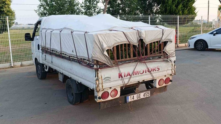 Ters Yönde Giden Kamyonet Sürücüsü 2.41 Promil Alkollü Çıktı