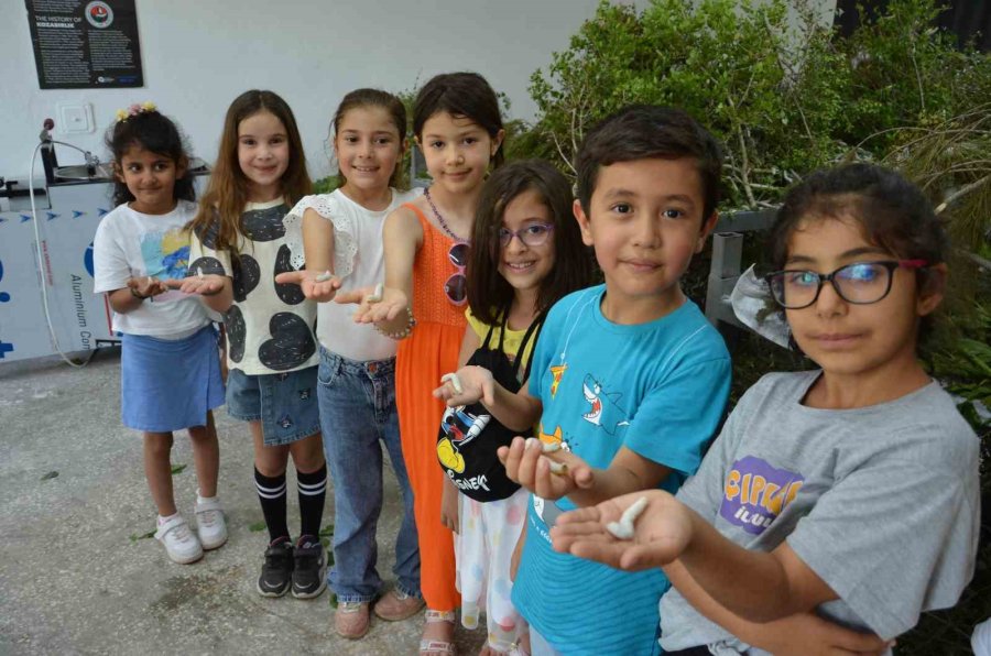 Antalya’da Kaybolan Meslekler Arasında Yer Alan İpekböcekçiliği Geri Dönüyor