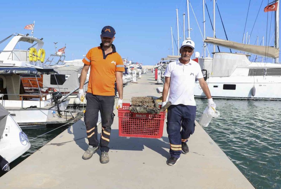 Mersin’de Denizden Çıkarılan Çöpler Sahilde Sergilendi: Alışveriş Arabası Bile Var