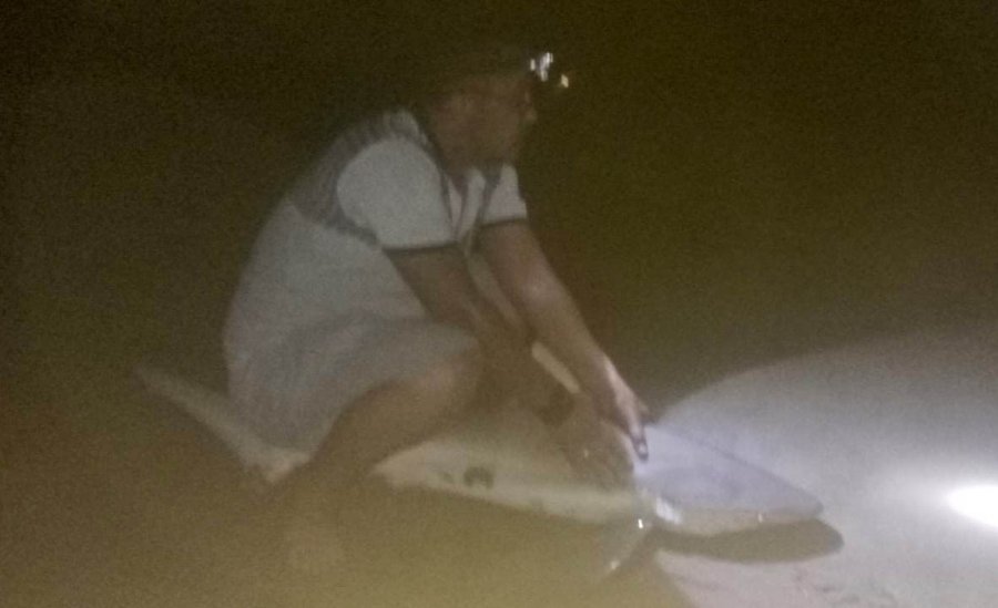 Amatör Oltacı Kıyıdan 2 Köpek Balığı Yakaladı: Heyecanlı Anlar Kamerada