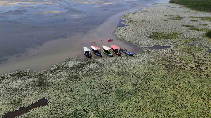 Beyşehir’de "bangladeş Su Nilüferi" Etkinlikleri