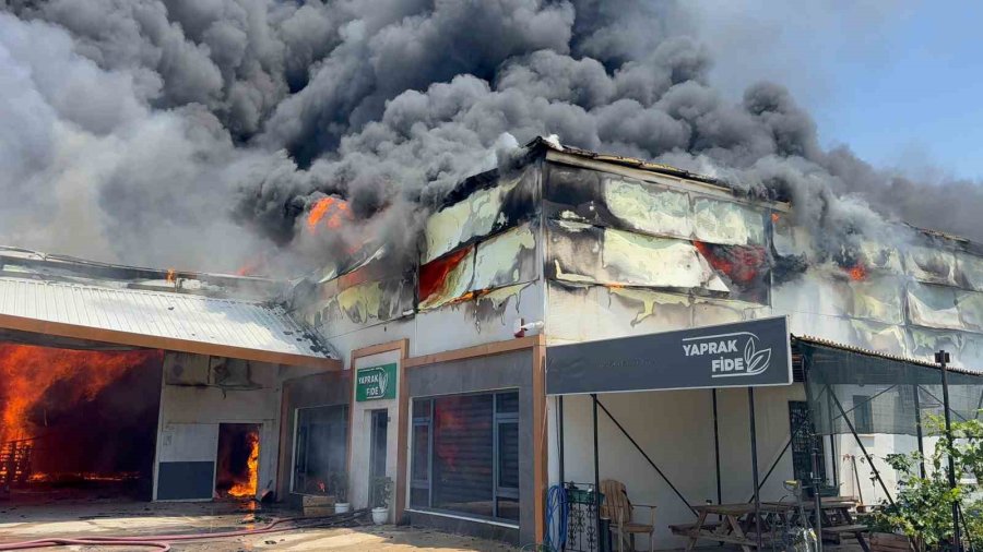 Fide Üretim Merkezinde Yangın