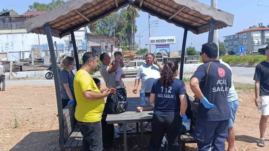 Manavgat’ta Tur Aracı Hafif Ticari Araçla Kafa Kafaya Çarpıştı: 6 Yaralı