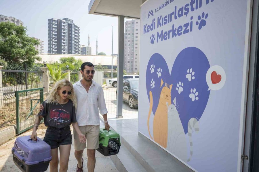 Mersin’deki Kedi Popülasyonu Kısırlaştırma Merkezi İle Dengeleniyor