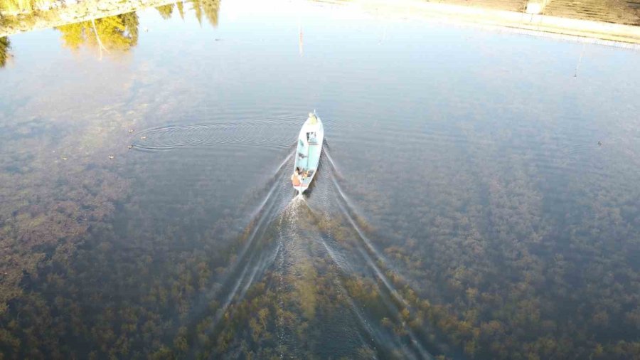 Beyşehir Gölünde Avlanma Yasağı Sona Eriyor