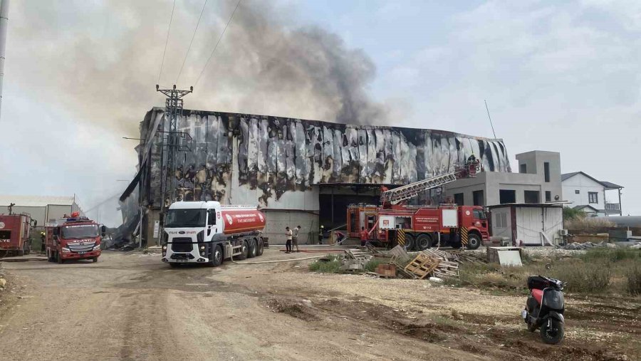 Mersin’de Pamuk Fabrikası Deposunda Yangın, Ekipler Müdahale Ediyor