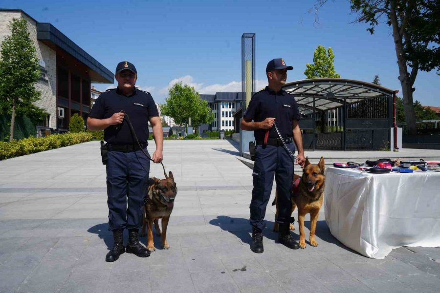 Jandarma Teşkilatı’nın 186. Yıldönümü Niğde’de Kutlandı