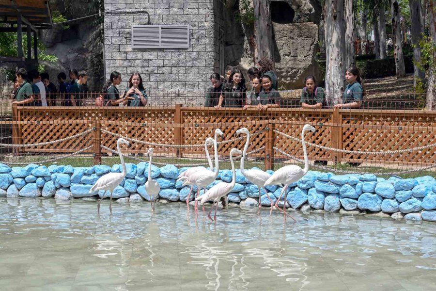Mersin’deki ‘minikbüs Projesi’ Çocuklara Gezi Ve Öğrenme Yolculuğu Sunuyor