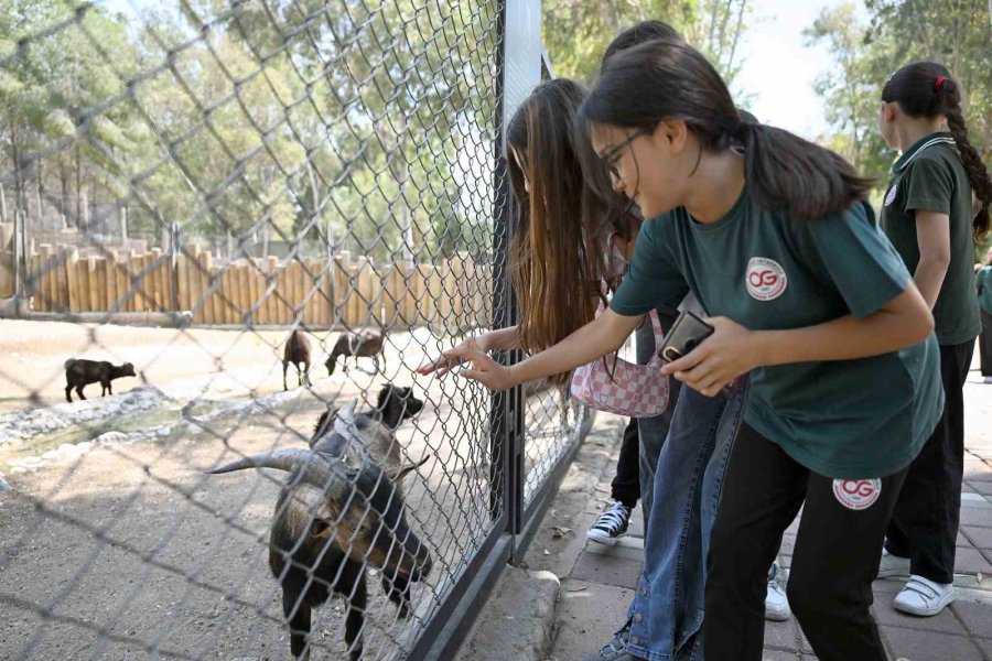Mersin’deki ‘minikbüs Projesi’ Çocuklara Gezi Ve Öğrenme Yolculuğu Sunuyor