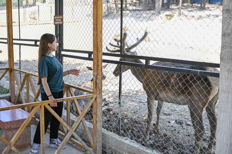Mersin’deki ‘minikbüs Projesi’ Çocuklara Gezi Ve Öğrenme Yolculuğu Sunuyor