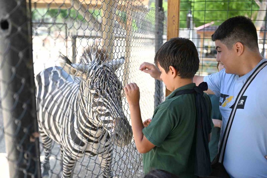 Mersin’deki ‘minikbüs Projesi’ Çocuklara Gezi Ve Öğrenme Yolculuğu Sunuyor