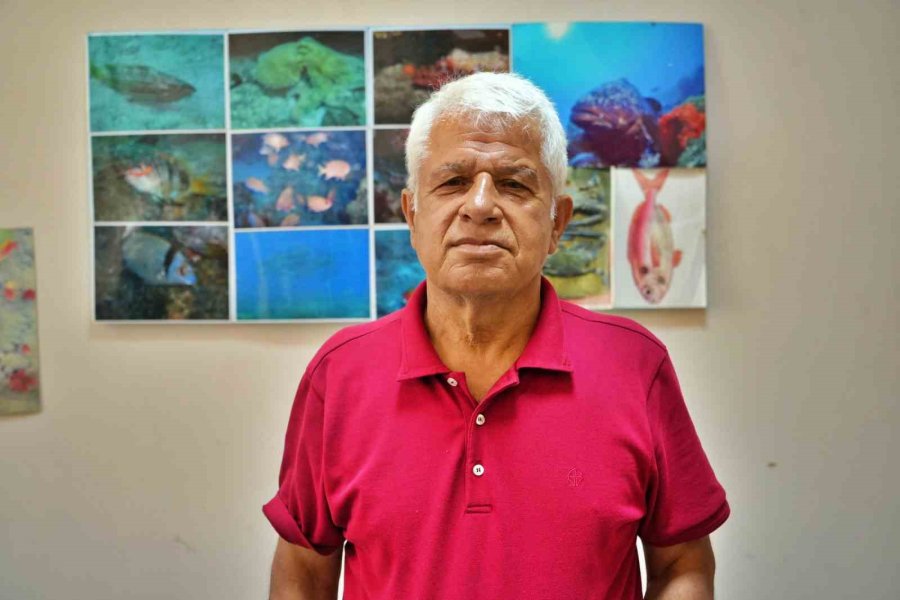 Köpek Balıklarına Yapılan "gösteri İşkencesine" Uzman Uyarısı: "ekosistemi Bozuyor, Korku Yayıyor "