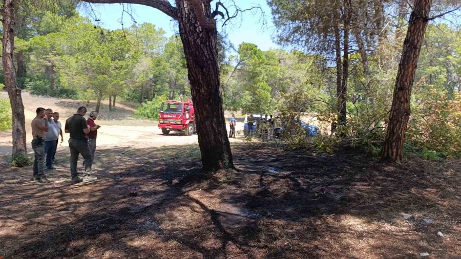 Manavgat’ta Çalılık Yangını Büyümeden Söndürüldü