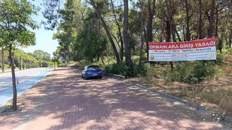 Manavgat’ta Çalılık Yangını Büyümeden Söndürüldü