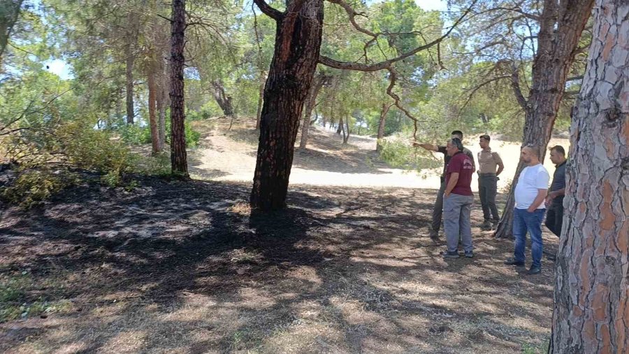 Manavgat’ta Çalılık Yangını Büyümeden Söndürüldü