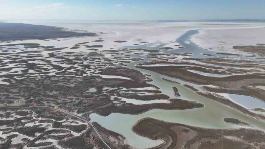 Tuz Gölü’nde Yüzlerce Flamingo Ölü Olarak Bulundu