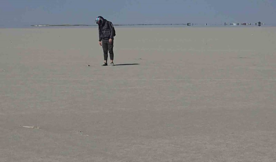 Tuz Gölü’nde Yüzlerce Flamingo Ölü Olarak Bulundu