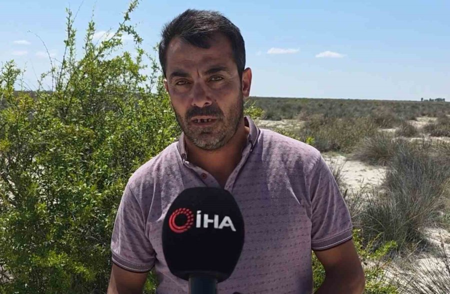 Tuz Gölü’nde Yüzlerce Flamingo Ölü Olarak Bulundu