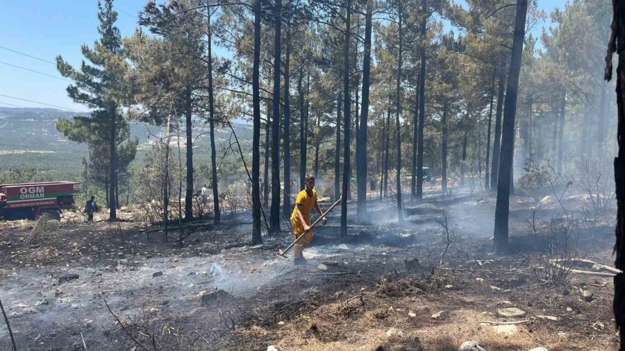 Mersin Gülnar’da Orman Yangını Söndürüldü