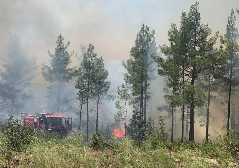 Mersin Gülnar’da Orman Yangını Söndürüldü