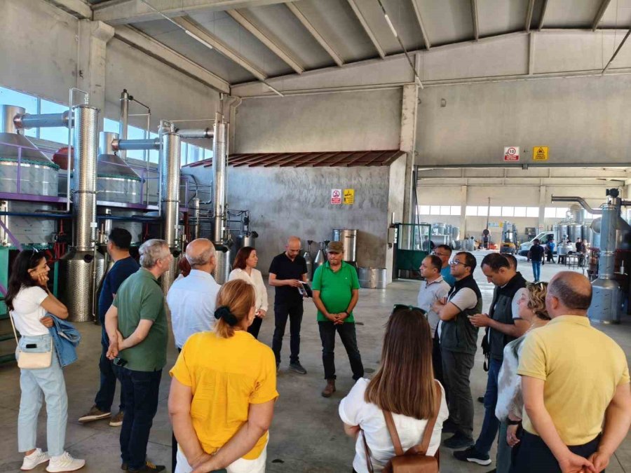 Fao Ve Baka Tıbbi Ve Aromatik Bitkiler Alanında İş Birliği İmkanlarını Görüştü