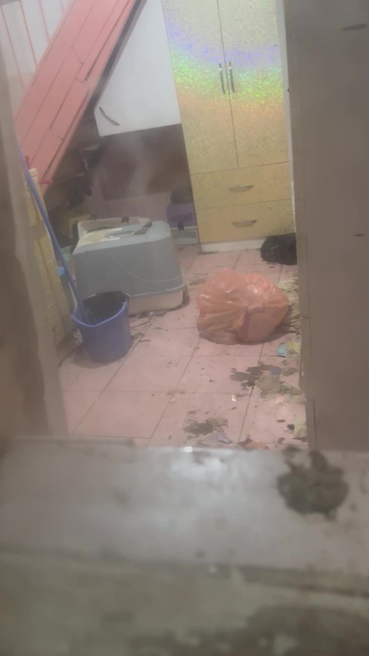 Antalya’da Kötü Kokuların Yayıldığı Ev Hayvanseverleri Ayağa Kaldırdı