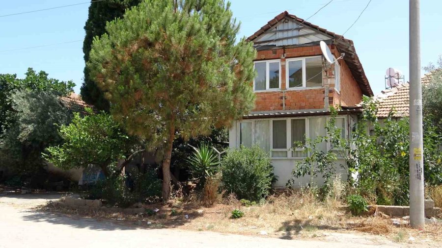 Antalya’da Kötü Kokuların Yayıldığı Ev Hayvanseverleri Ayağa Kaldırdı