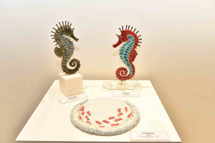 Toprak’tan Hikayeler Sergisi Sanatseverlerle Buluştu