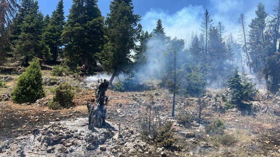 Mersin’de Orman Yangını, Ekipler Müdahaleye Başladı