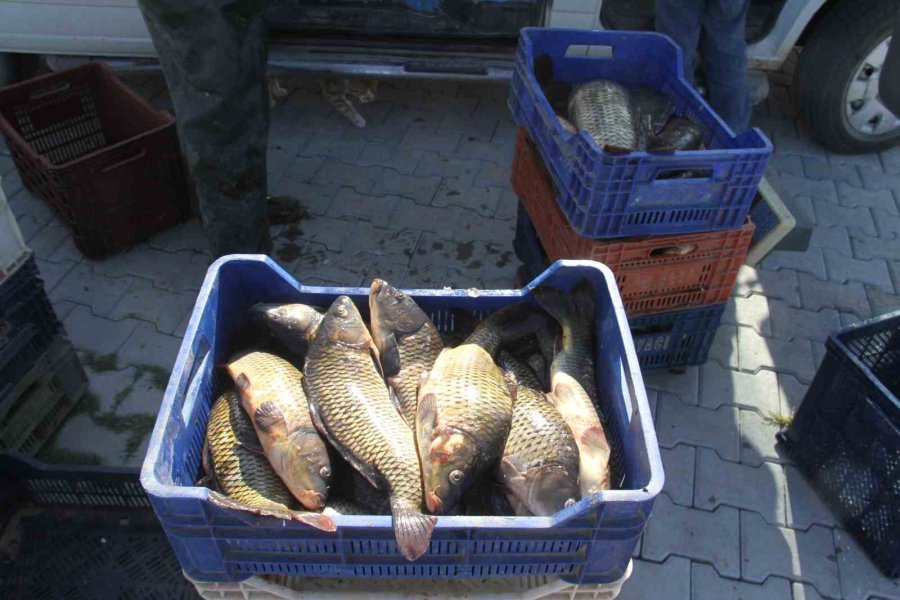 Beyşehir Gölü’nde Yeni Av Sezonu Başladı