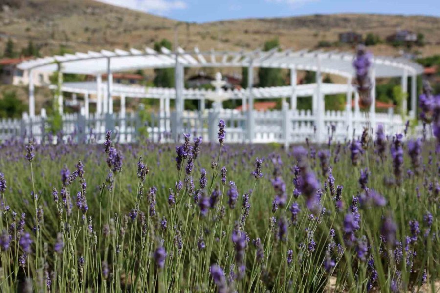 Meram’da Görsel Şov Yeniden Başladı