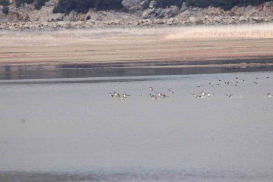 5 Yıldızlı Otellerde Yatak Başına Günlük Bin Litrenin Üzerinde Su Tüketiliyor
