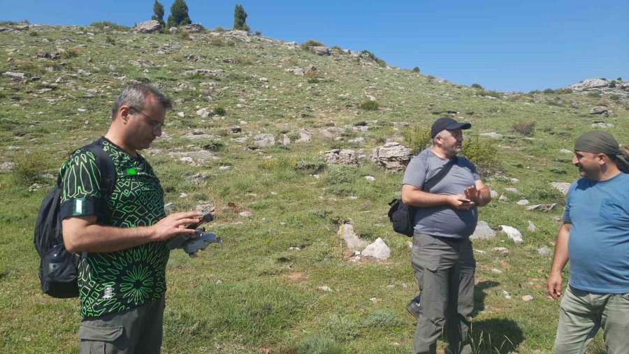 Bozkır’ın Yüksek Rakımlı Yaylalarındaki Bitki Florası Araştırıldı