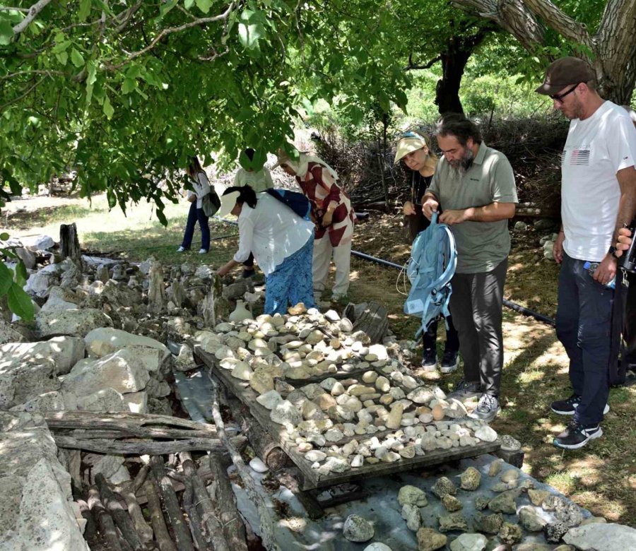 Mersin Mut’ta Fosil Araştırması